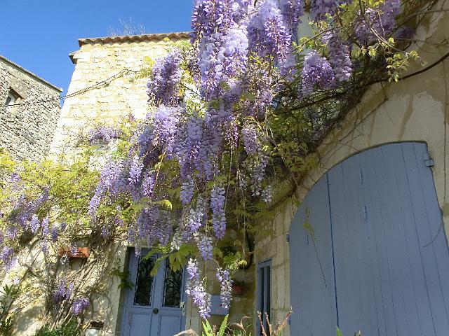 VALLEE  DU RHONE 049.jpg